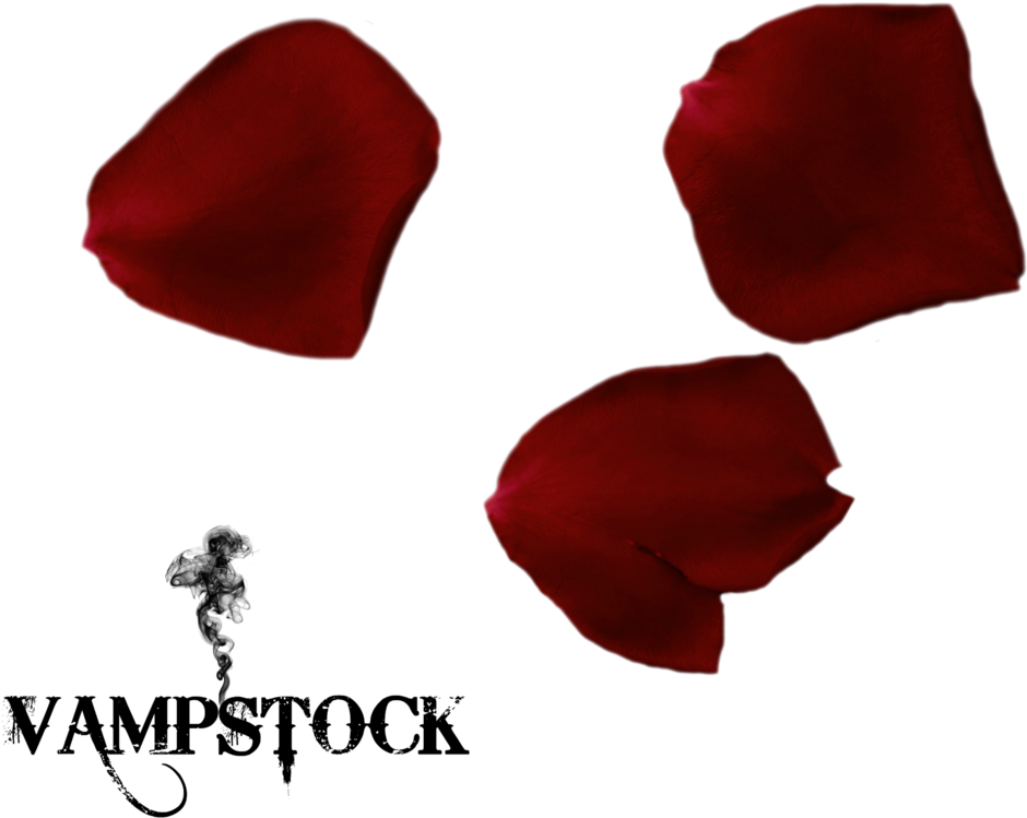 Black Rose Petals Png (1024x1024), Png Download