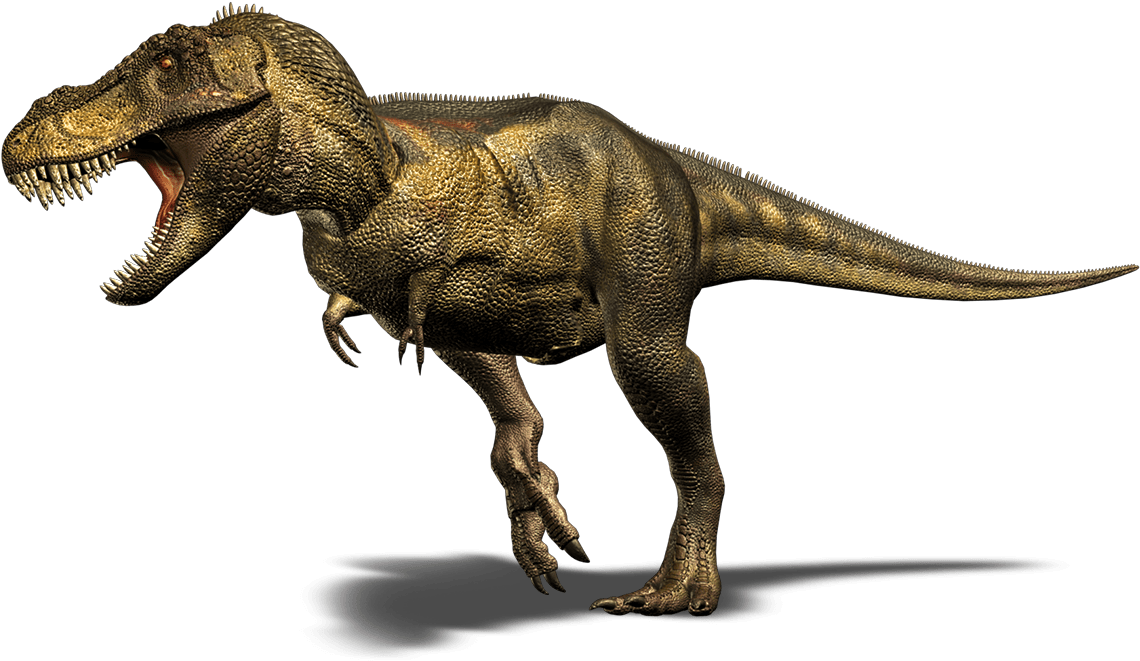 Photo Courtesy - Dinopedia - Wikia - Com - Tyrannosaurus Png (1165x662), Png Download