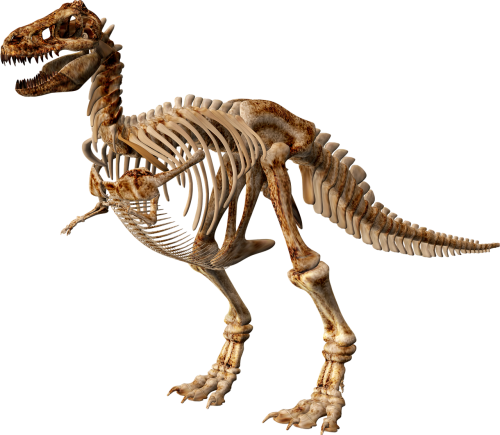 T Rex 3252844 340 - Dinosaur Skeleton (390x340), Png Download