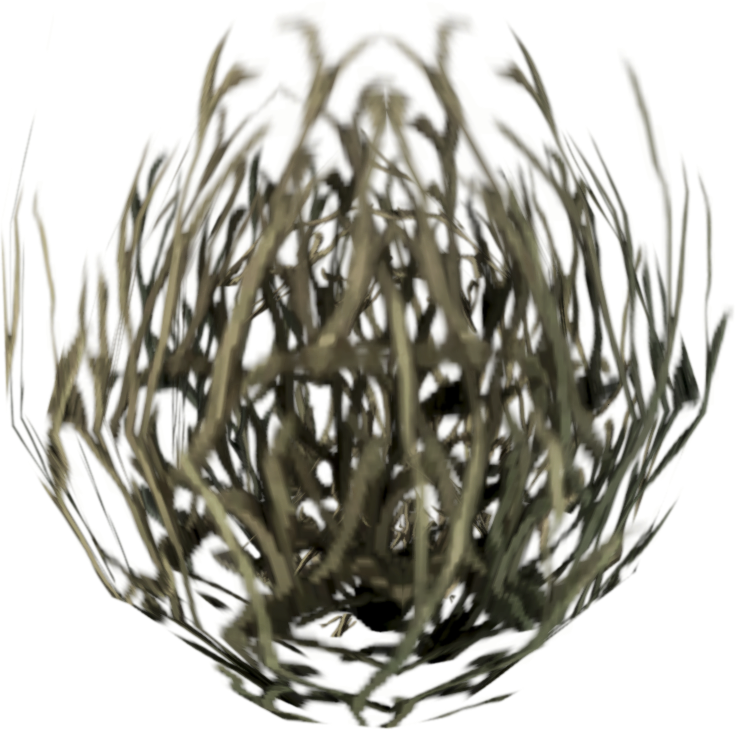 Tumbleweed Pet - Icon - Tumbleweed - Wiki (736x730), Png Download