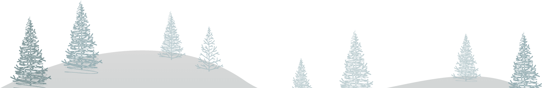 Bg2 B15qgd Zz - Christmas Tree (1920x600), Png Download