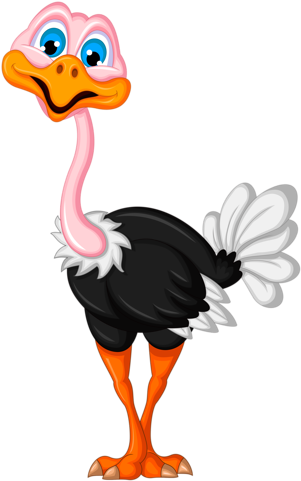 Ostrich Drawing Pinterest - Cartoon Picture Of Ostrich (321x500), Png Download