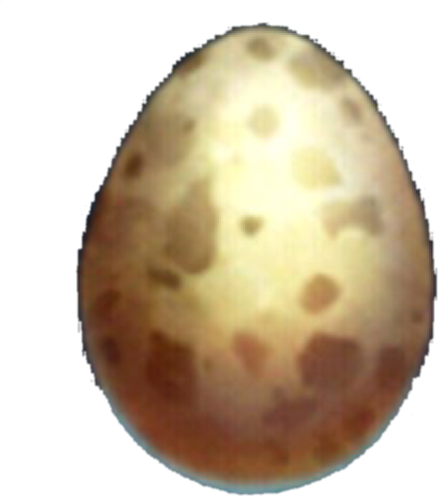 Ostrich Egg Tr - Ostrich Egg Png (720x720), Png Download