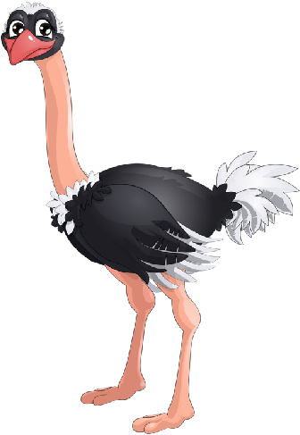 Cartoon Animal Images Black And White Picture - Ostrich Clip Art Kids (500x500), Png Download