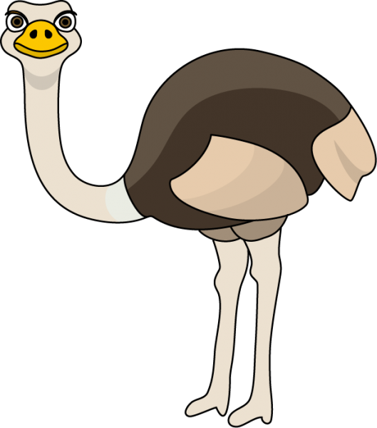 Ostrich Clipart At Getdrawings - Ostrich Clipart (529x600), Png Download