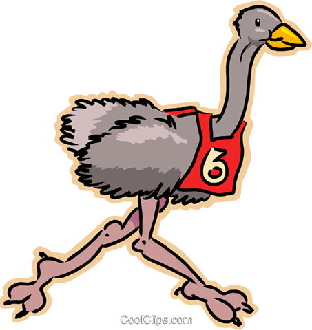 Ostrich Running Race Royalty Free Vector Clip Art Illustration - Vogel Strauß Clipart Png (453x480), Png Download