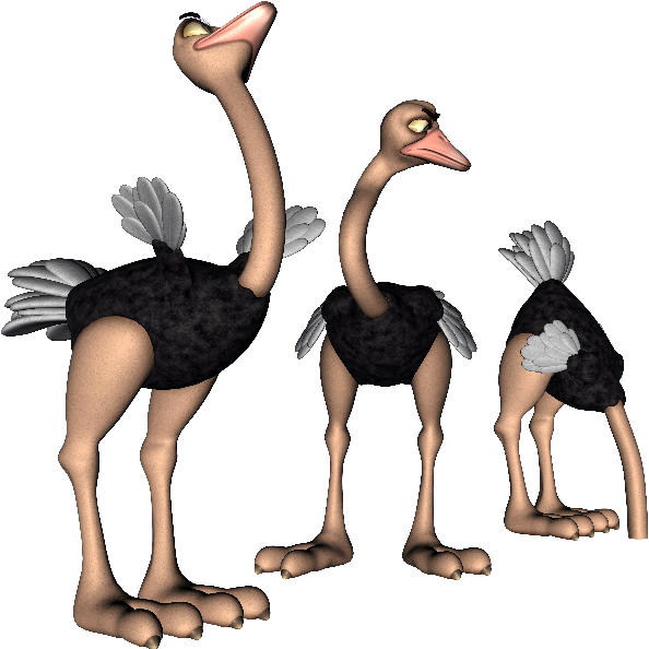 Ostrich Clipart - Emu (600x600), Png Download