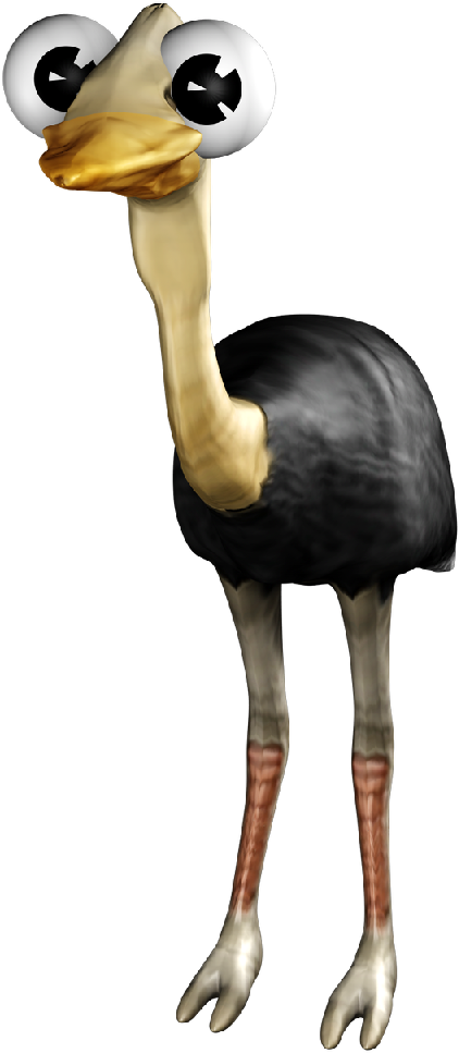 Ostrich - Website (1024x1024), Png Download