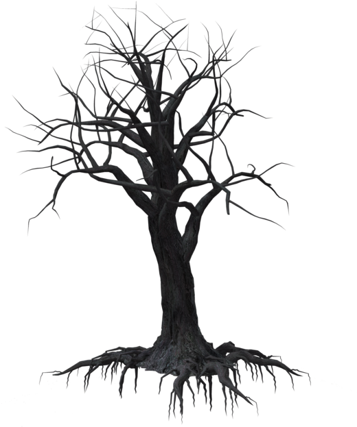 Creepy Tree At Getdrawings Com Free For - Tree Creepy (1024x639), Png Download