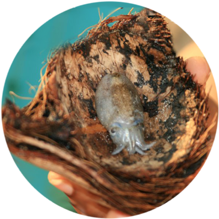 Well, When I Was In Class 11th, This Wonderful Friend - Shell (500x487), Png Download