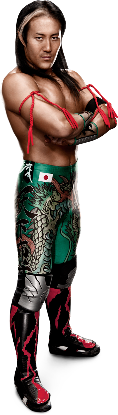 Yoshi Tatsu Stats Png - Wwe Yoshi Tatsu Png (406x1426), Png Download