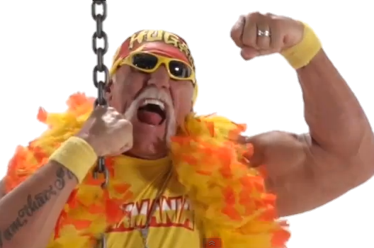 Hulk Hogan Wrecking Ball - Hulk Hogan Png (528x350), Png Download