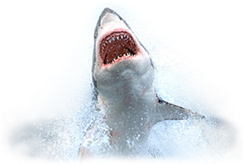 Click Gfaa Logos To Access Required Information On - Cisco 8821 Desk Top Charger (827x606), Png Download