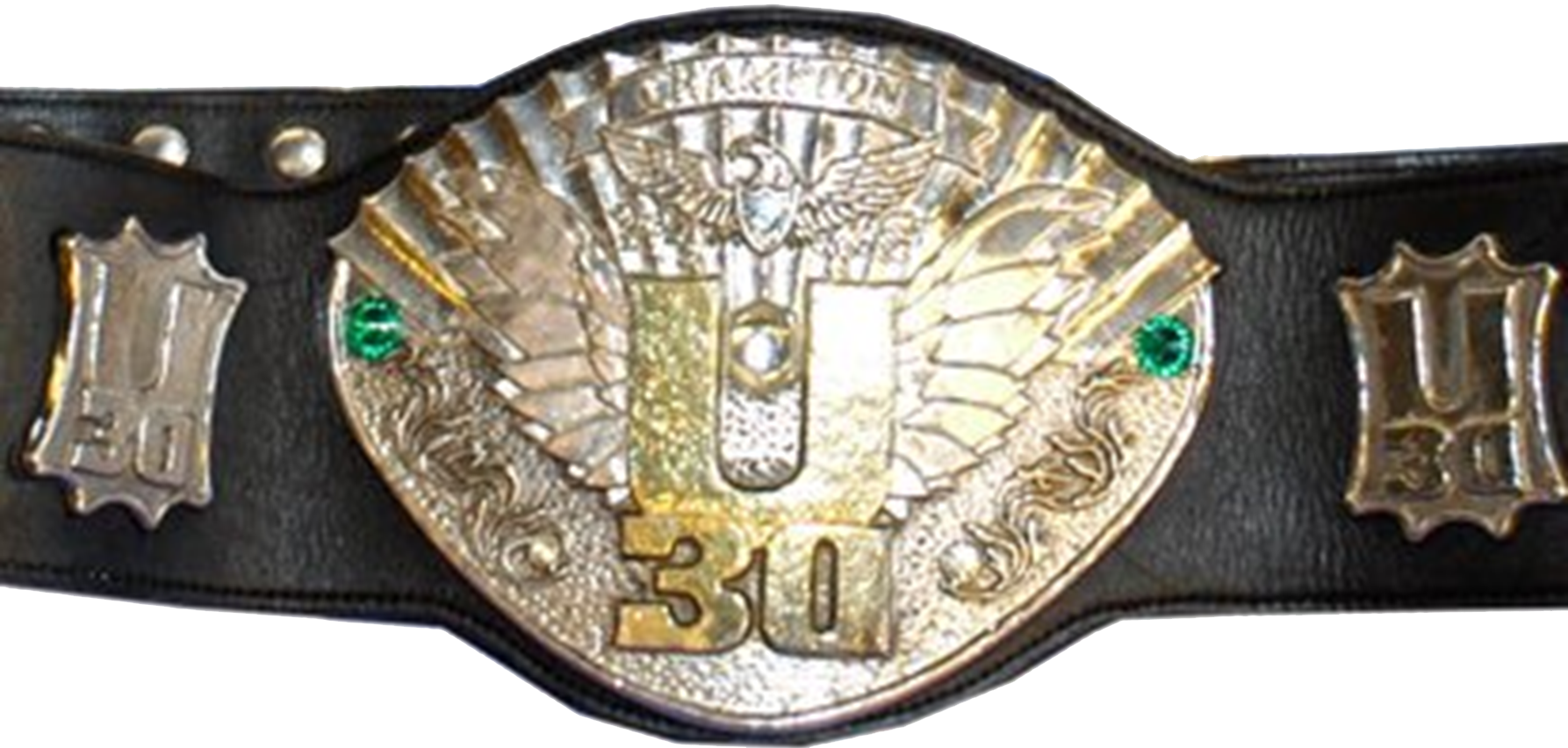 Iwgp U-30 Openweight Championship Belt - Iwgp U 30 Openweight Championship (1786x852), Png Download