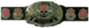 Belt Transparent Roblox - Roblox (420x420), Png Download
