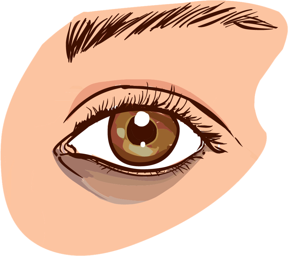 Graphic Transparent Organic Natural Creams For Dark - Dark Circle Remedies (1008x860), Png Download