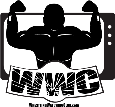 Hulk Hogan Racist Sex Tape - T-shirt (576x576), Png Download