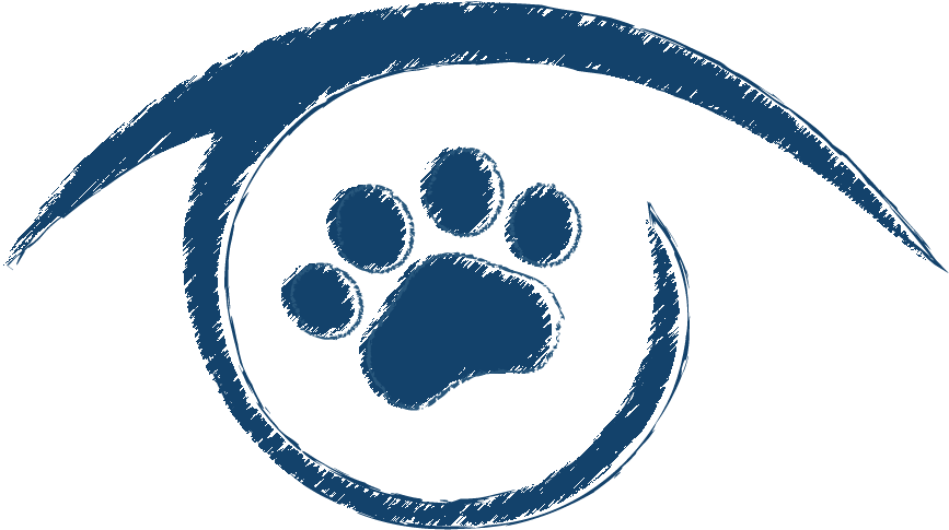 Animal Eye Clinic - Eye (1149x780), Png Download