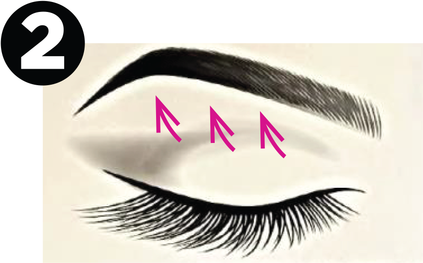 Eyebrow Clipart Fake - L'extraordinaire Lash & Brow Serum (900x550), Png Download