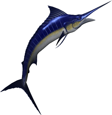 Marlin - Peces De Altamar (400x400), Png Download