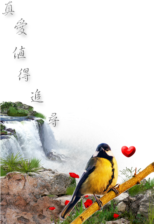 Rb - Iguazu Falls (533x800), Png Download