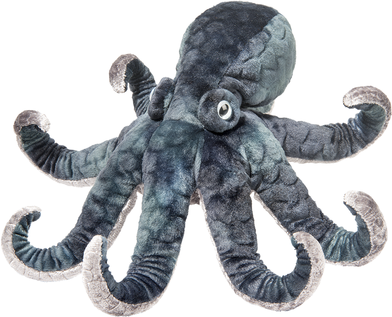 Douglas - Winky Octopus - Octopus Plush (480x480), Png Download