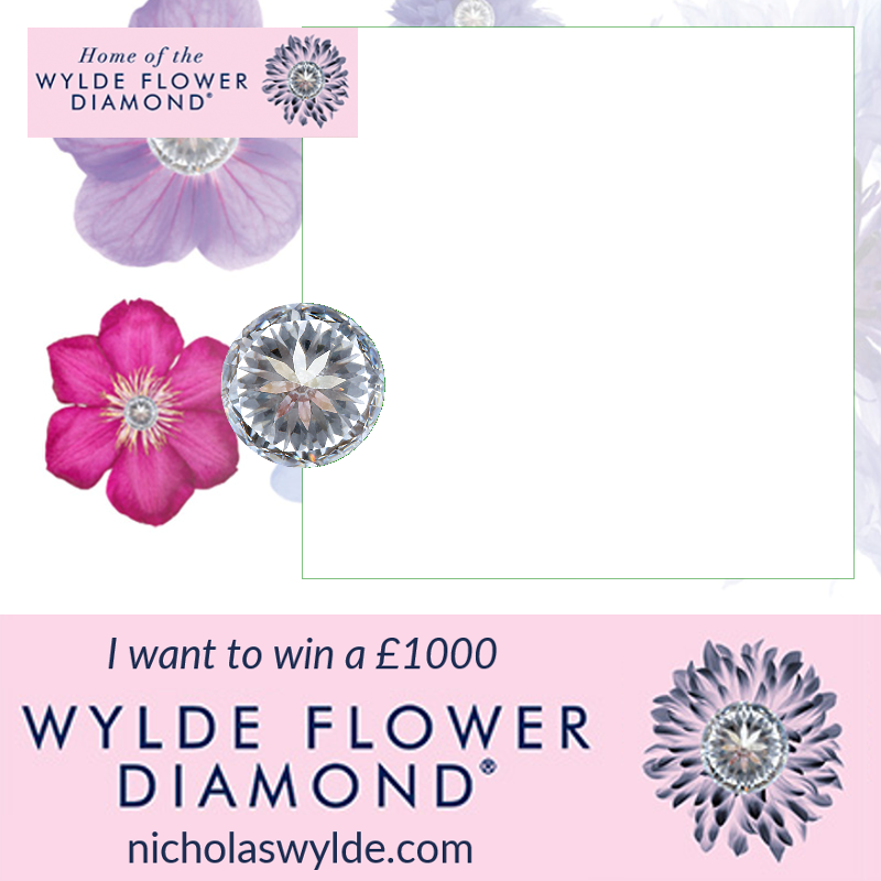 Shout To The World That You 'want To Win A Wylde Flower - Viola (800x800), Png Download