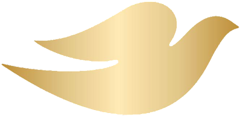 Dove Logo - Dove (880x660), Png Download