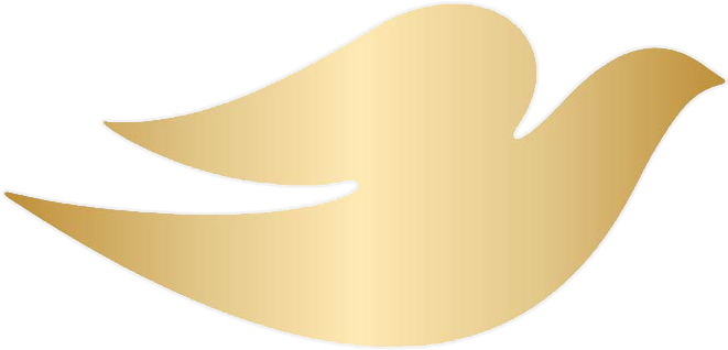 Dove Logo Png - Logo (1200x900), Png Download