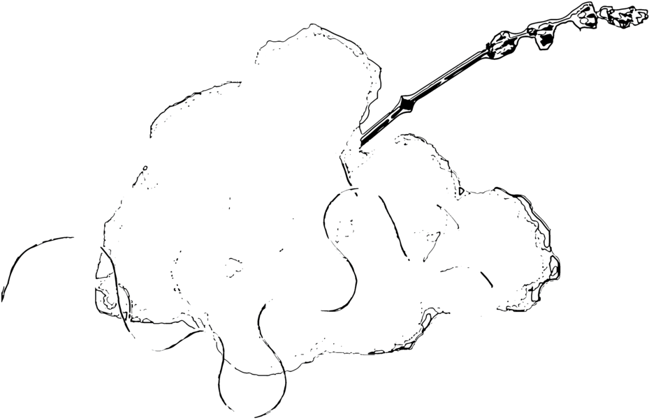 Dove Logo - Portable Network Graphics (1000x673), Png Download