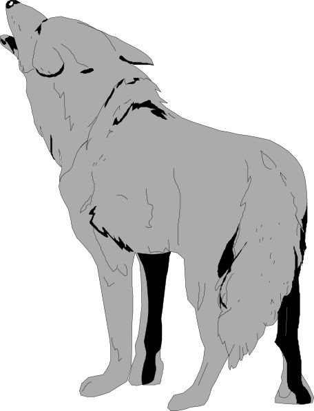 Small - Wolf Clipart Transparent Background (456x597), Png Download