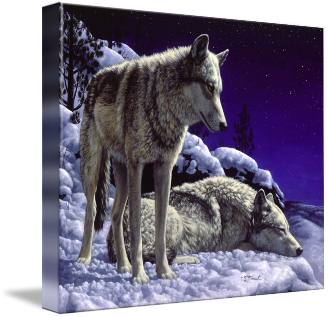 "night Watch" By Crista Forest - Crista Forest - Night Watch (650x627), Png Download