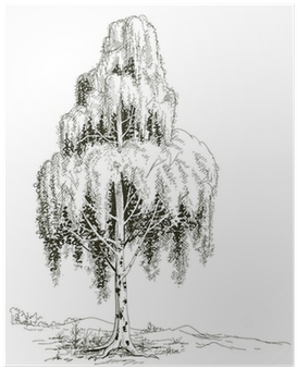 Drzewo Szkic (400x400), Png Download