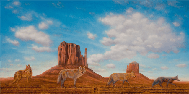 Coyote Tricking Time - Butte (640x480), Png Download