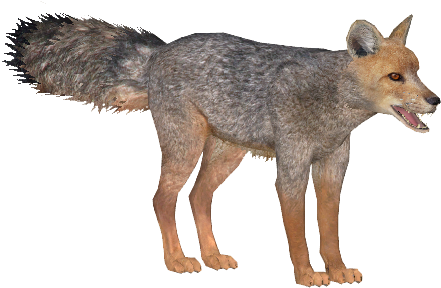 Image Culpeo Lgcfm Png Zt Download Library - Coyote (877x877), Png Download