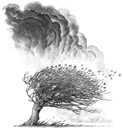 The Studio - Tree In Storm Sketch (400x423), Png Download