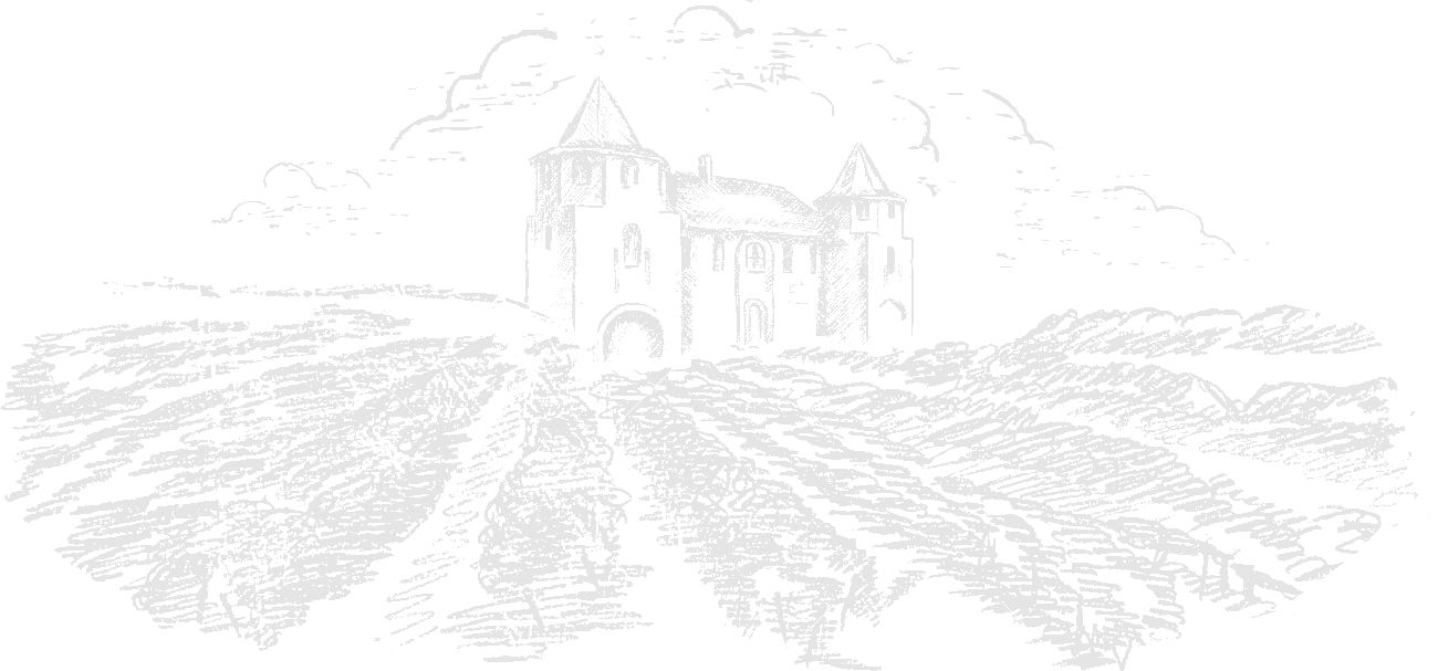 Vineyard-sketch - Sketch (1300x607), Png Download