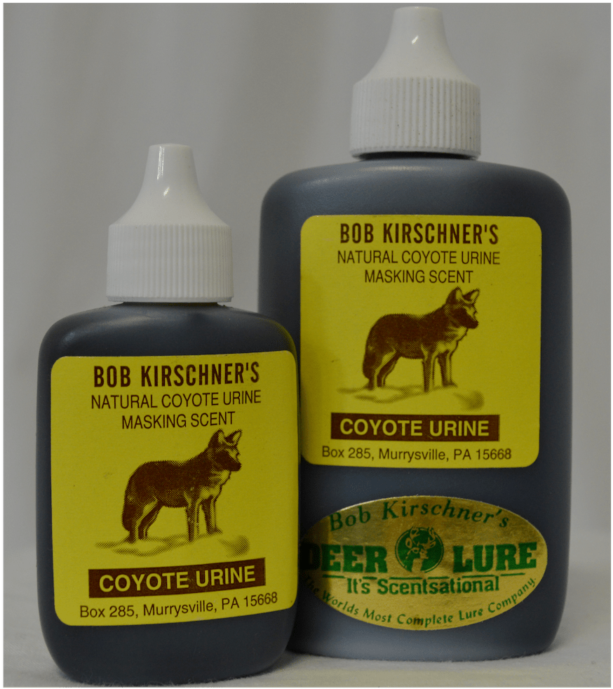 Coyote Urine - Mane (1624x1080), Png Download