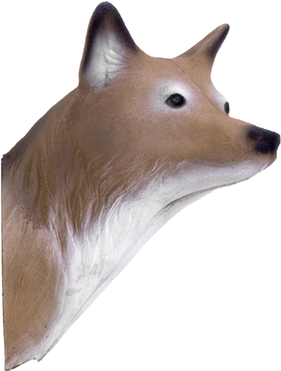 Coyote Head - Shooting Target (600x600), Png Download