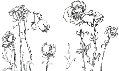She Told Him That She Loved Him, But He Didn't Say - Aesthetic Flower Drawing Png (500x647), Png Download