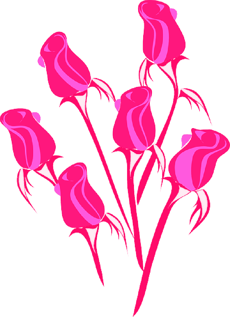 Flower, Flowers, Cartoon, Purple, Pink, Rose - Roses Clip Art (800x1101), Png Download