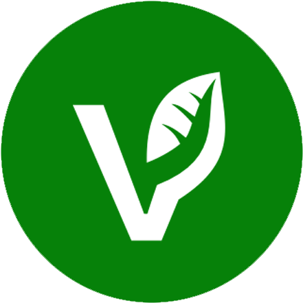 Gluten Free Vegetarian - Blog (449x506), Png Download