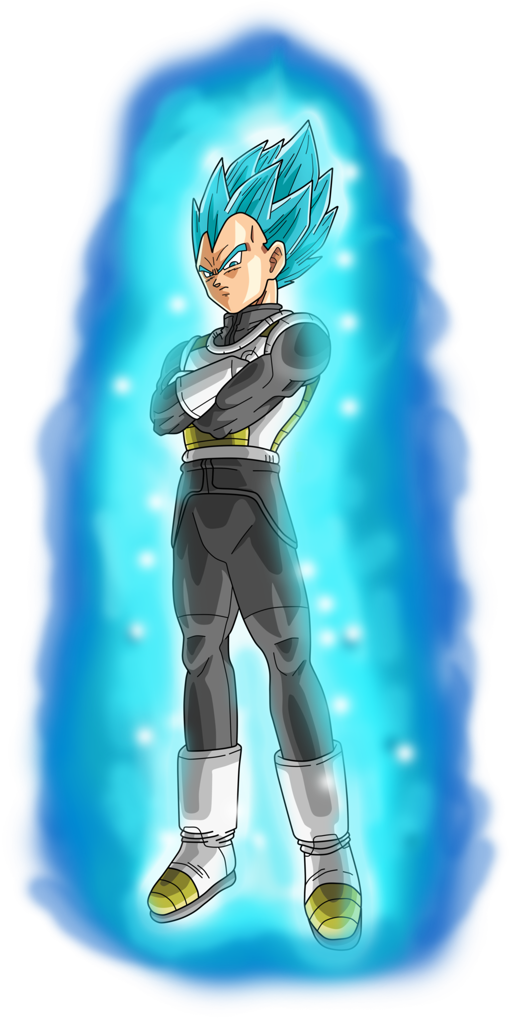 Vegeta Super Saiyan Blue Aura By Frost Z-d9xlk2k - Vegeta Super Saiyan Blue Aura (1024x2048), Png Download
