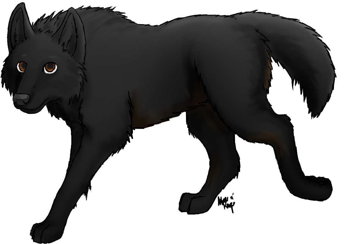 Wolf Transparent Artwork - Black Wolf Transparent (1240x914), Png Download