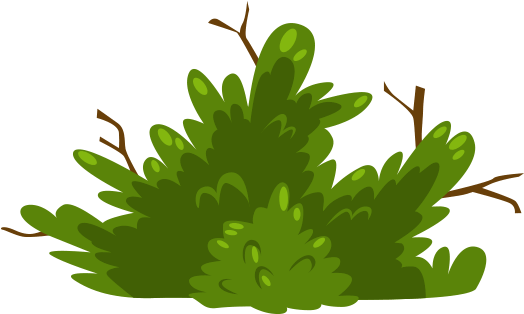 Bush & Twigs - Illustration (706x414), Png Download
