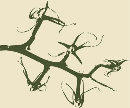 Tomato Twigs - Tomato Vine (439x367), Png Download