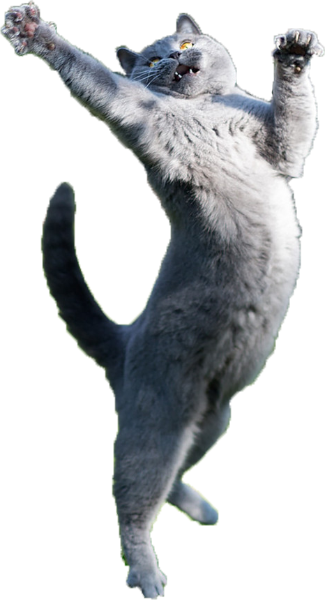 Http - //i - Imgur - Com/6amnf8p - Cat Jumping Transparent Background (466x860), Png Download