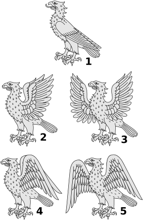 160 × 240 Pixels - Red-tailed Hawk (320x479), Png Download