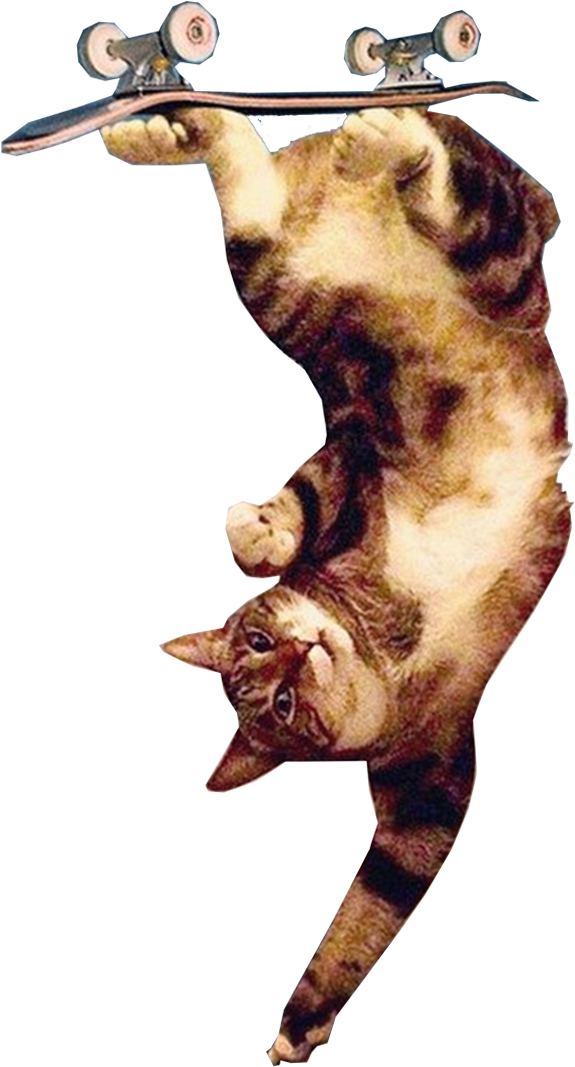 Upsidedown Cat Trick - Jumping (2550x3300), Png Download
