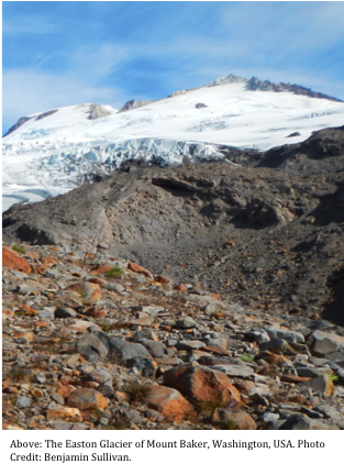 Succession Of Glacial Soils - Glacial Retreat Succession (312x468), Png Download